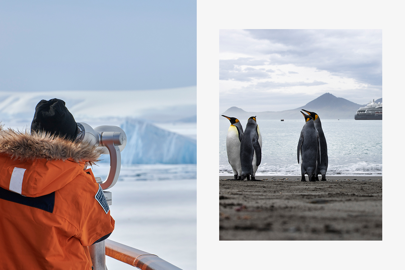 Travel in Science, Not Just in Style