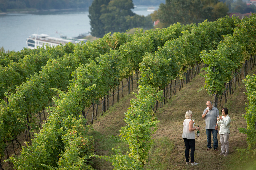 Castles Along the Rhine