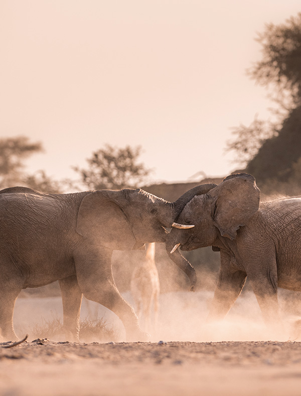 Beautiful, Brutal, and Completely Worth It