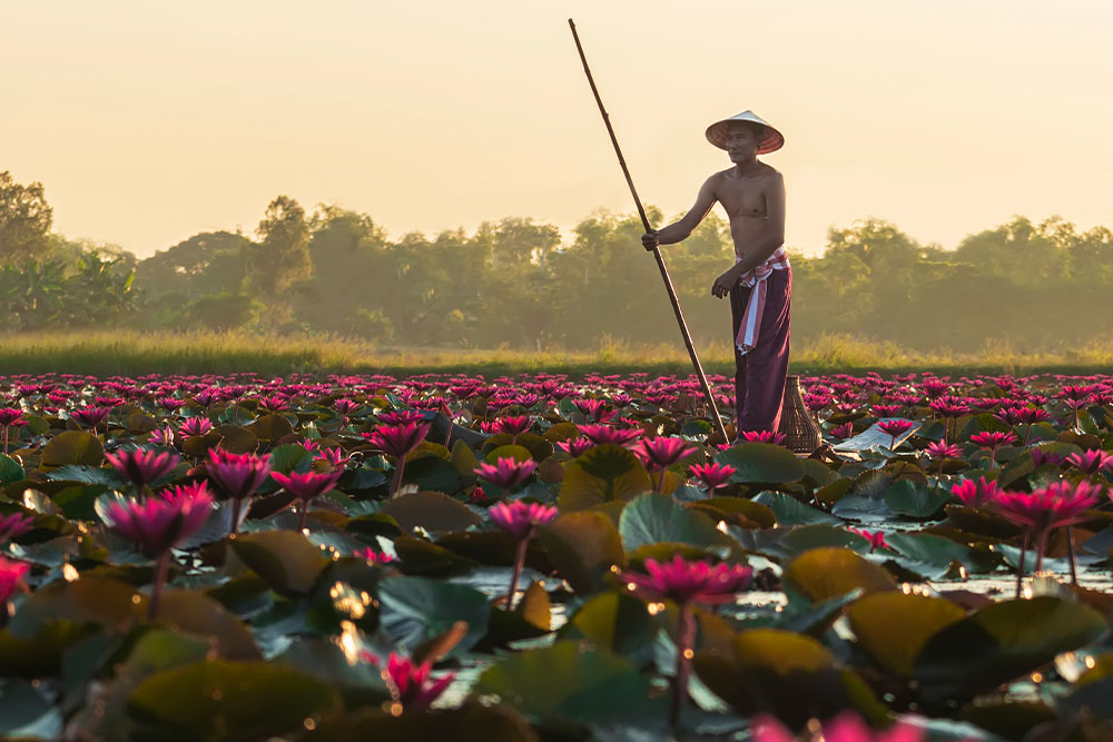 A River of Living Traditions