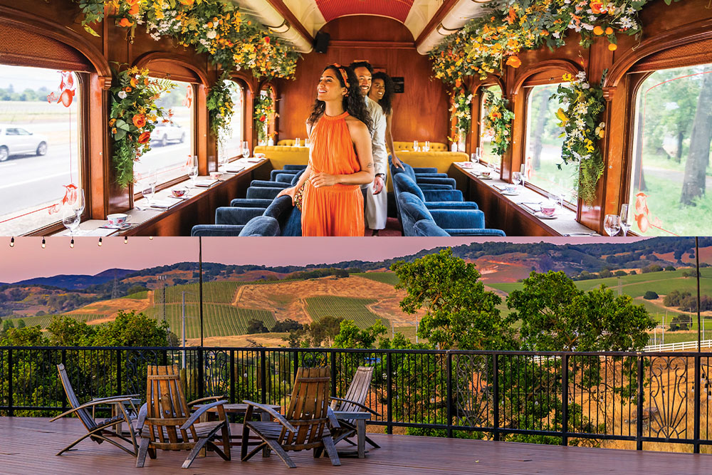 Napa Valley- The Pinnacle of Winemaking